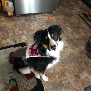 Meet your Posher, Sue